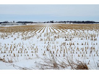 Property photo 18 - AUCTION, 206 Contiguous Acres offered in 5 Tracts